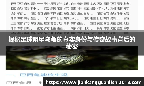 揭秘足球明星乌龟的真实身份与传奇故事背后的秘密